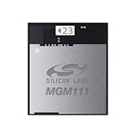 MGM111A256V1DƬ